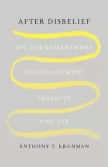Image of After Disbelief : On Disenchantment, Disappointment, Eternity, and Joy