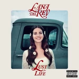 Image of Lana Del Rey - Lust For Life Vinyl