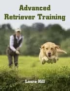 Image of advanced retriever training