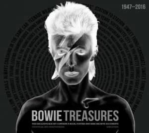 Image of Bowie Treasures by Mike Evans Hardback
