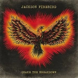 Image of Jackson Firebird - Shake The Breakdown Vinyl