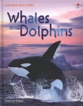 Image of Whales and Dolphins by Susanna Davidson and John Woodcock and Snia Mendes Hardback