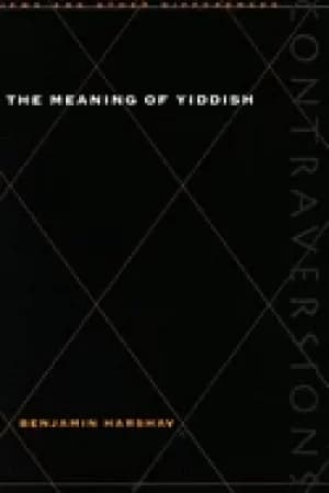 Image of meaning of yiddish