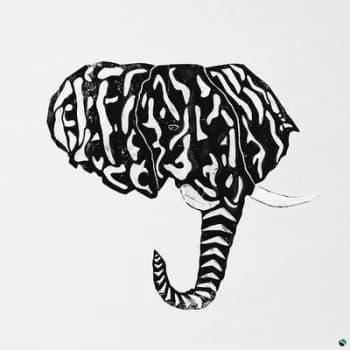 Image of The Great Elephant by Alpha Steppa & Nai-J CD Album
