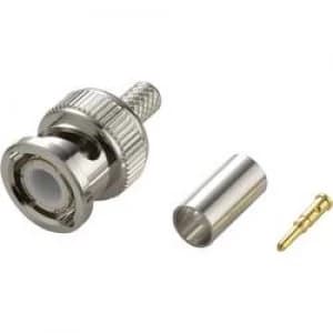 Image of BNC connector Plug straight 50 TE Connectivity 1 1337426 0