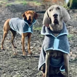 Image of Drying Coat - Xxlarge - 41134 - Henry Wag