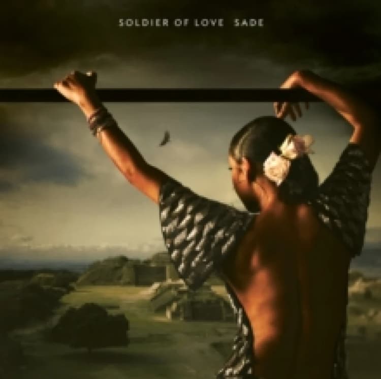 Image of Soldier of Love Vinyl