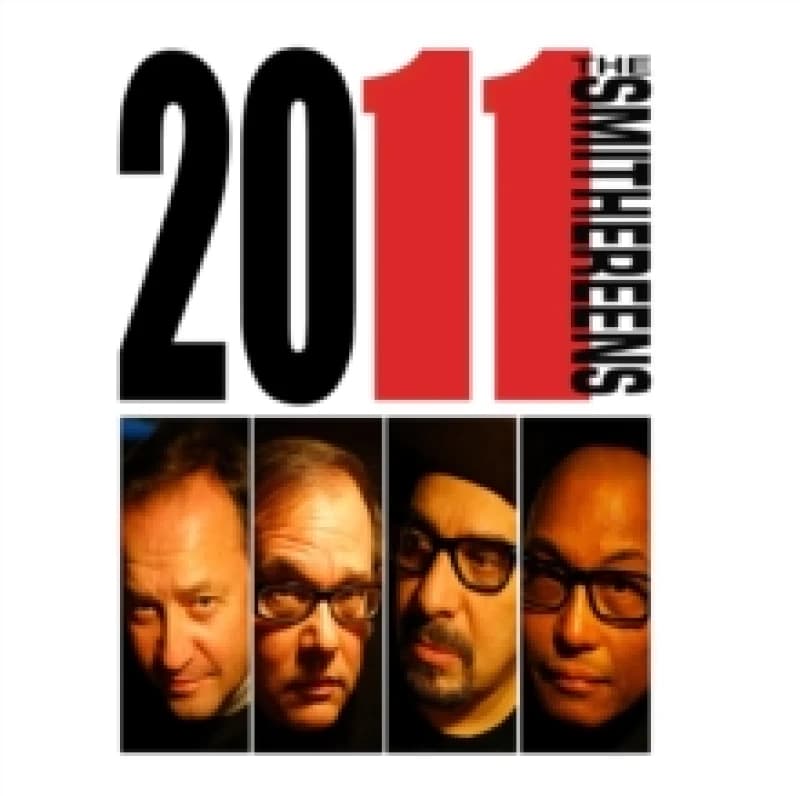 Image of 2011 Vinyl