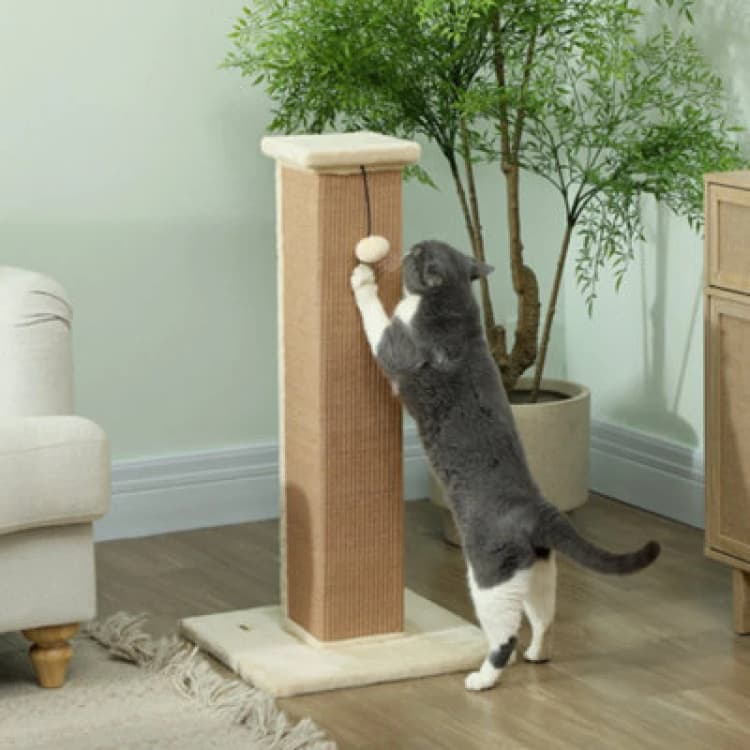 Image of PawHut Cat Scratching Post 81cm Cat Scratcher w/ Hanging Ball, Soft Plush Beige