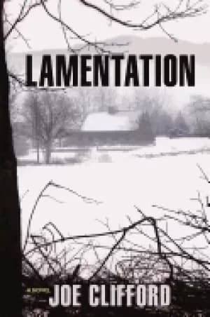 Image of lamentation a novel