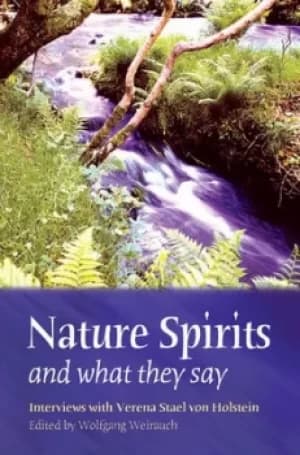 Image of Nature spirits and what they say by Wolfgang Weirauch