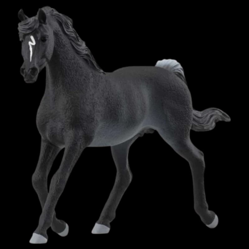 Image of Schleich Arabian Stallion Multi unisex