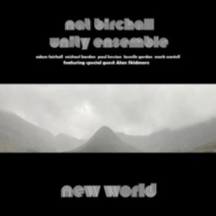 Image of New World Vinyl
