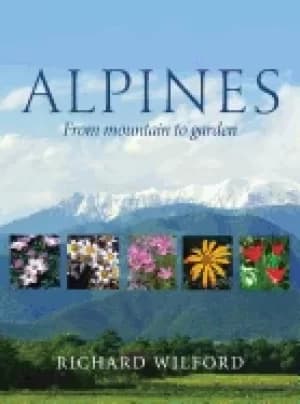 Image of alpines from mountain to garden