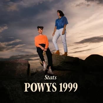 Image of Stats - Powys 1999 Vinyl