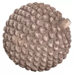 Image of Large Stone Pinecone