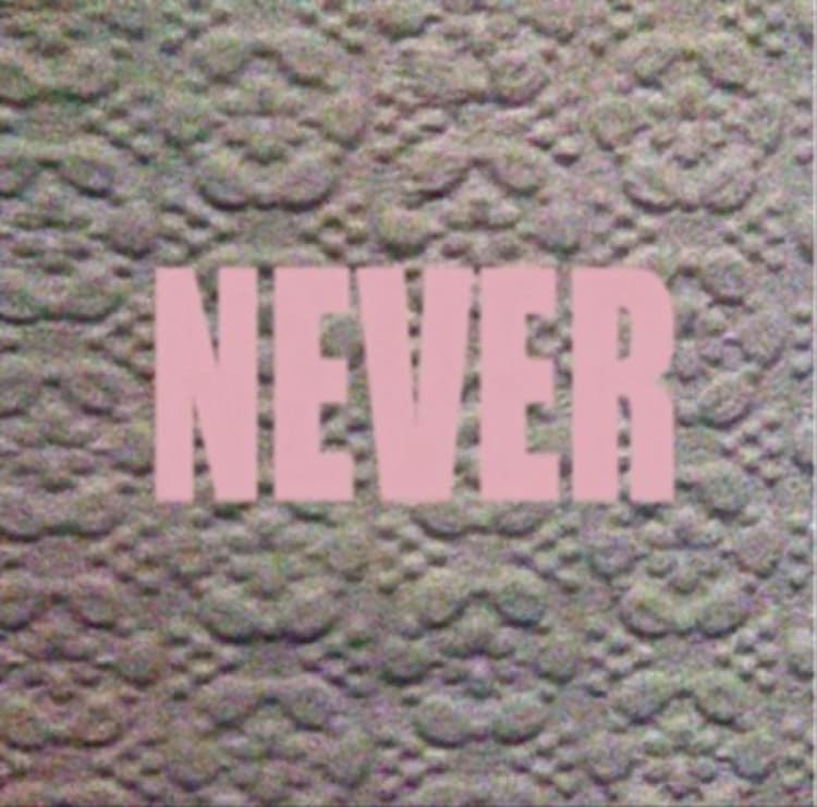 Image of Never CD / Album