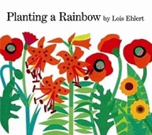 Image of planting a rainbow
