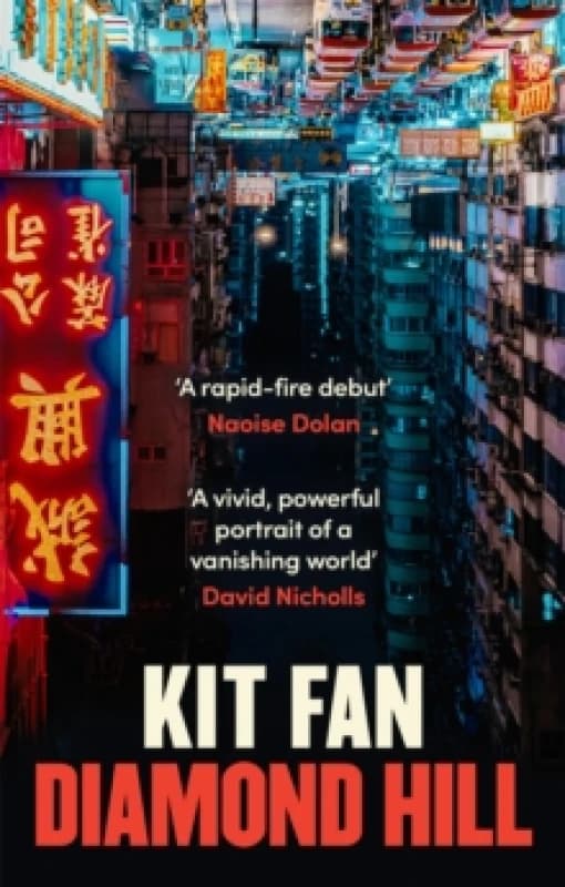 Image of Diamond Hill : Totally unputdownable and evocative literary fiction Paperback / softback