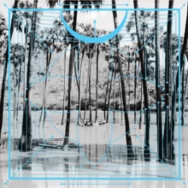 Image of Four Tet - Pink Vinyl