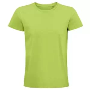 Image of SOLS Unisex Adult Pioneer Organic T-Shirt (S) (Apple Green)