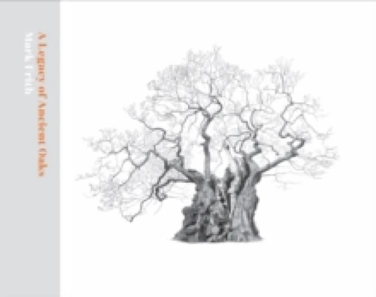Image of A Legacy of Ancient Oaks Hardback