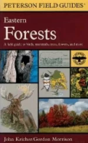 Image of peterson field guide to eastern forests north america