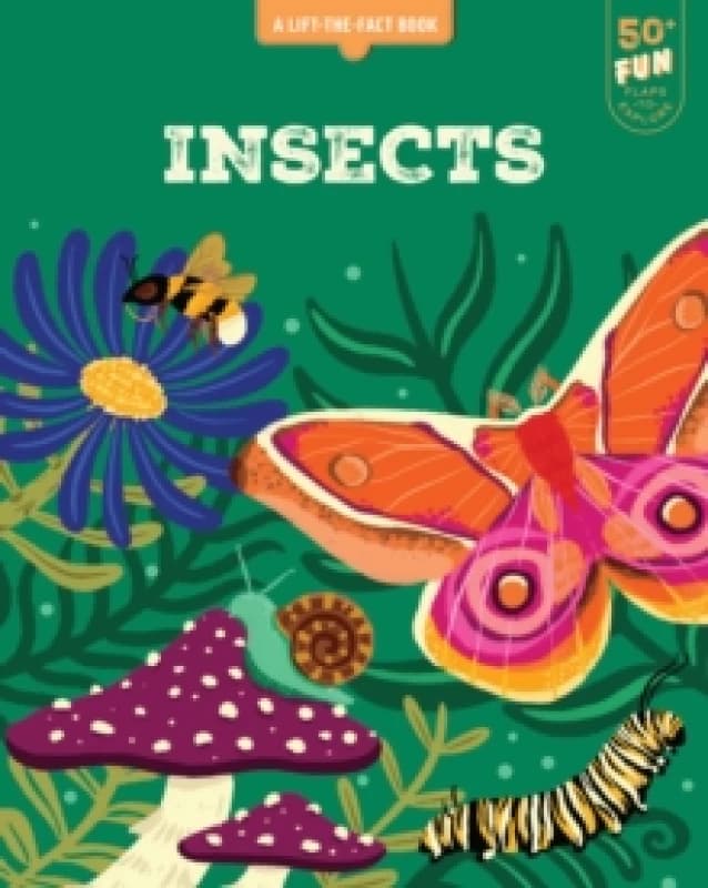 Image of Lift the Fact: Insects Board book
