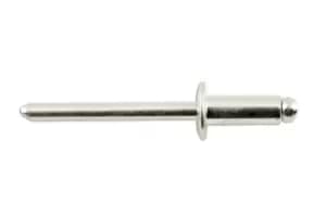 Image of Steel Rivet Dome Head 4.8mm x 12mm Pk 100 Connect 32768