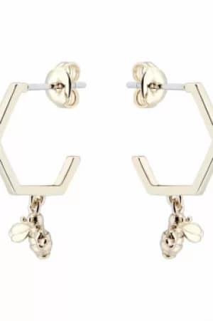 Image of Ted Baker Jewellery Bedza Earrings TBJ2243-30-03