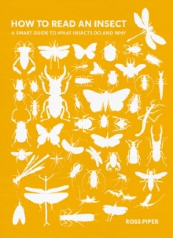 Image of How to Read an Insect : A Smart Guide to What Insects Do and Why Paperback / softback