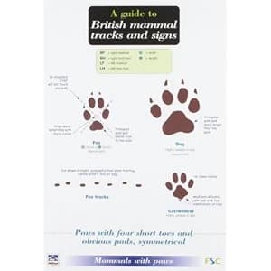 Image of A Guide to British Mammal Tracks and Signs by Simone Bullion (Paperback, 2002)