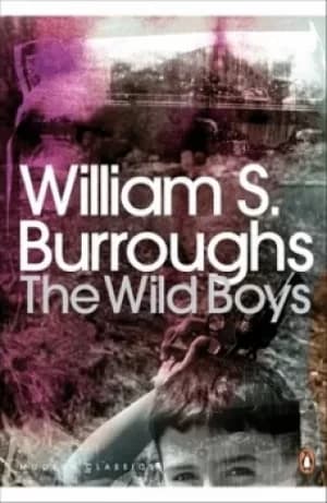 Image of The wild boys by William S Burroughs