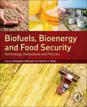 Image of Biofuels, Bioenergy and Food Security by Deepayan Debnath