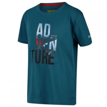 Image of Regatta Alvarado V - Olympic Teal