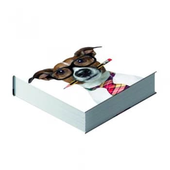 Image of Cats and Dogs Square Jotter Pads Pack of 10 302365