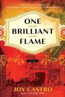 Image of One Brilliant Flame : A Novel