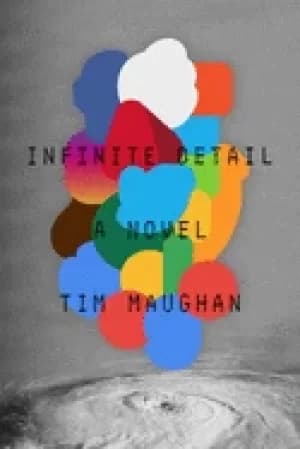 Image of infinite detail a novel