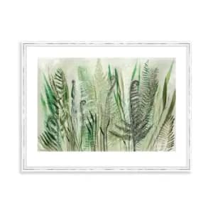 Image of The Art Group Shyama Ruffell Ferns Ii Framed Art - 60x80cm
