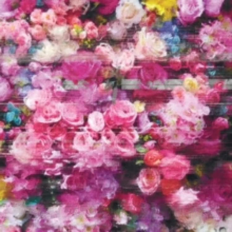 Image of Systeme CD / Album Digipak