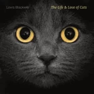 Image of life and love of cats