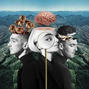 Image of What Is Love? by Clean Bandit CD Album