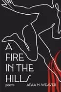 Image of fire in the hills