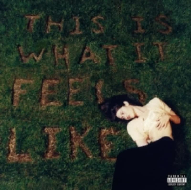 Image of This Is What It Feels Like Vinyl