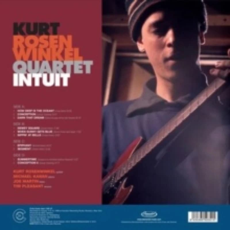Image of Intuit Vinyl