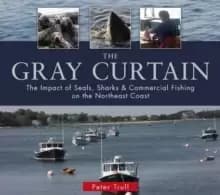 Image of Gray Curtain