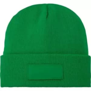 Image of Bullet Boreas Beanie With Patch (One Size) (Fern Green)