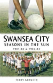 Image of Swansea City by Terry Grandin Book