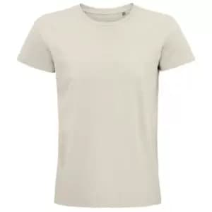 Image of SOLS Unisex Adult Pioneer Organic T-Shirt (XXL) (Natural)