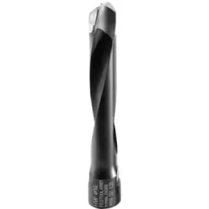 Image of Festool - Router cutter 14mm DF700 d 14-NL 70 hw-df 700 4